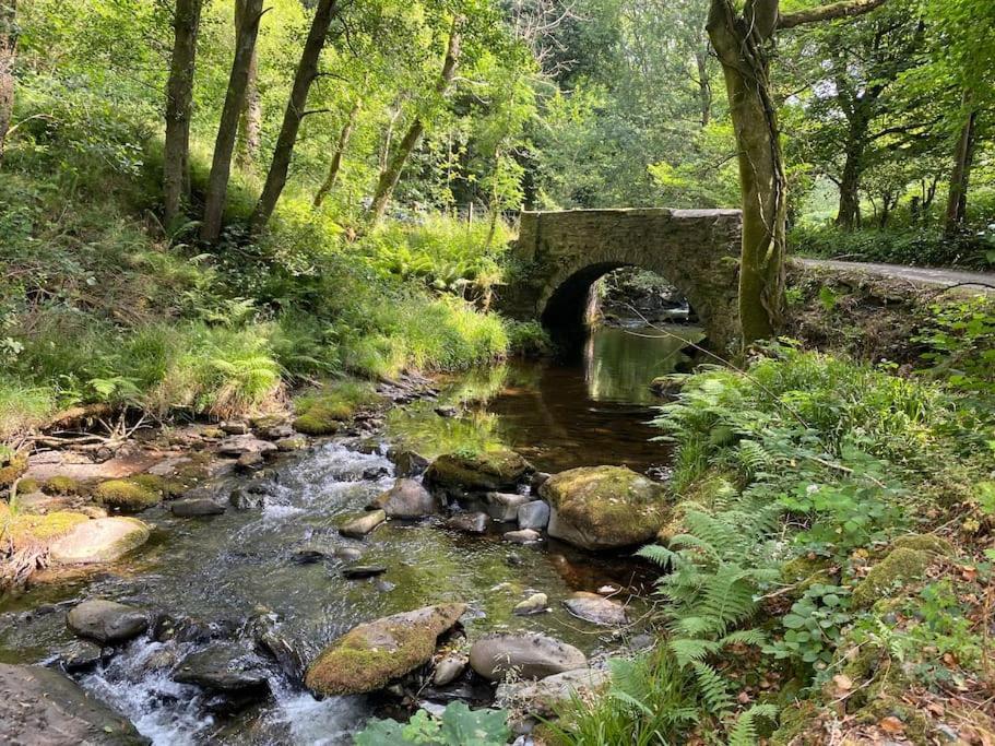 Bear Cottage, Tyn Y Cwm Eglwys-Fach Exteriér fotografie